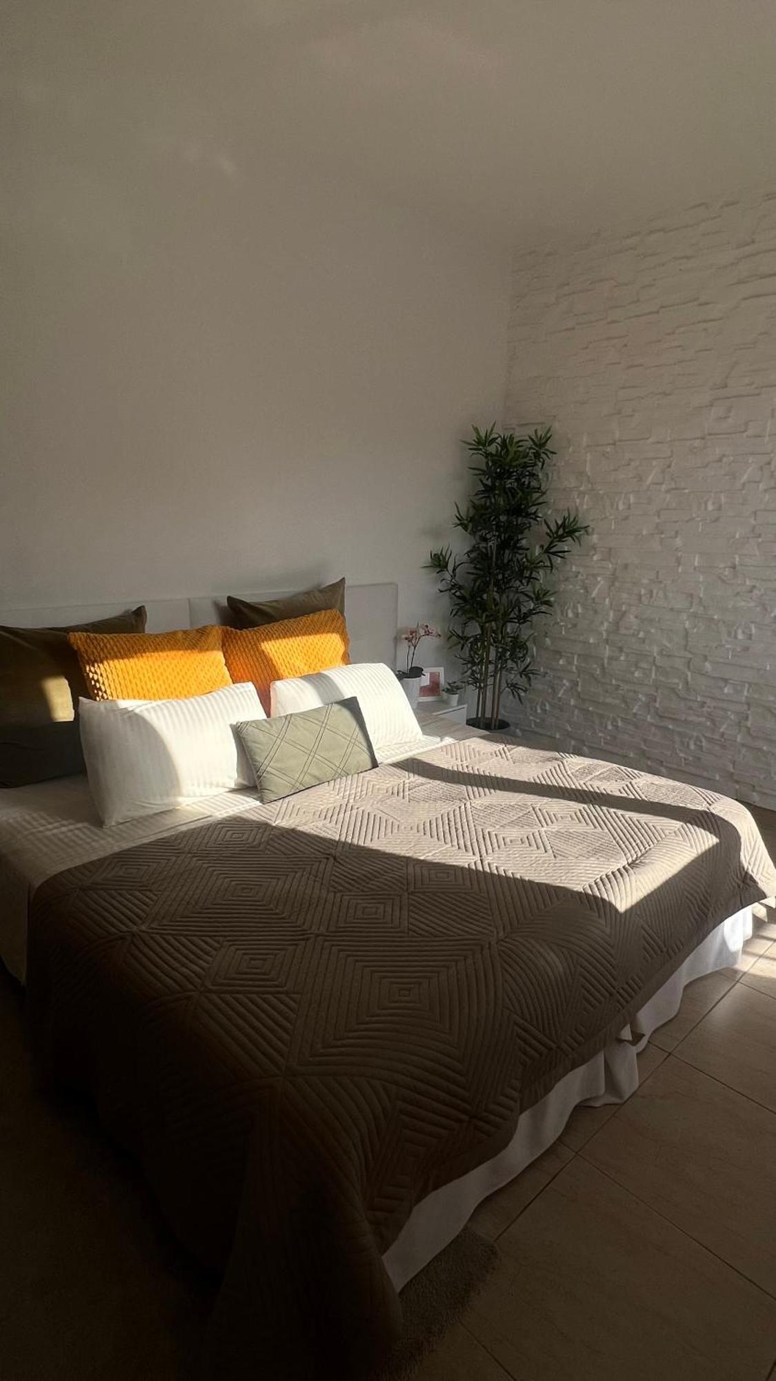 Tenerife Te Espera! Apartment Icod De Los Vinos Exterior photo